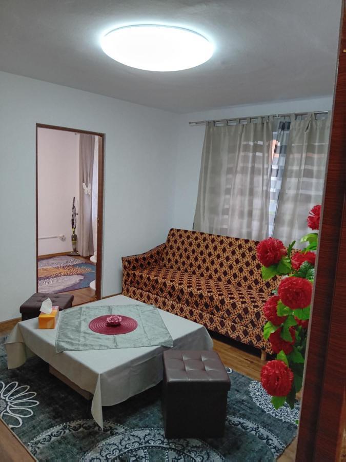La Florin Apartman Medgyes Kültér fotó